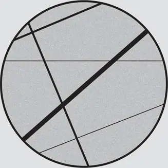 Construction geometry on the circle