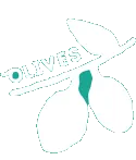 Olives